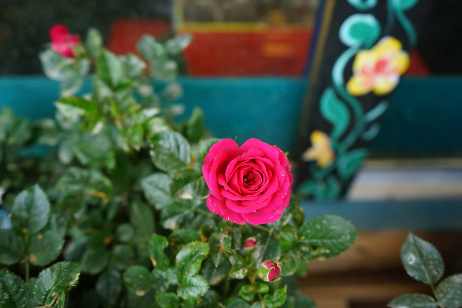 Saigonese Trekking House - Hostel