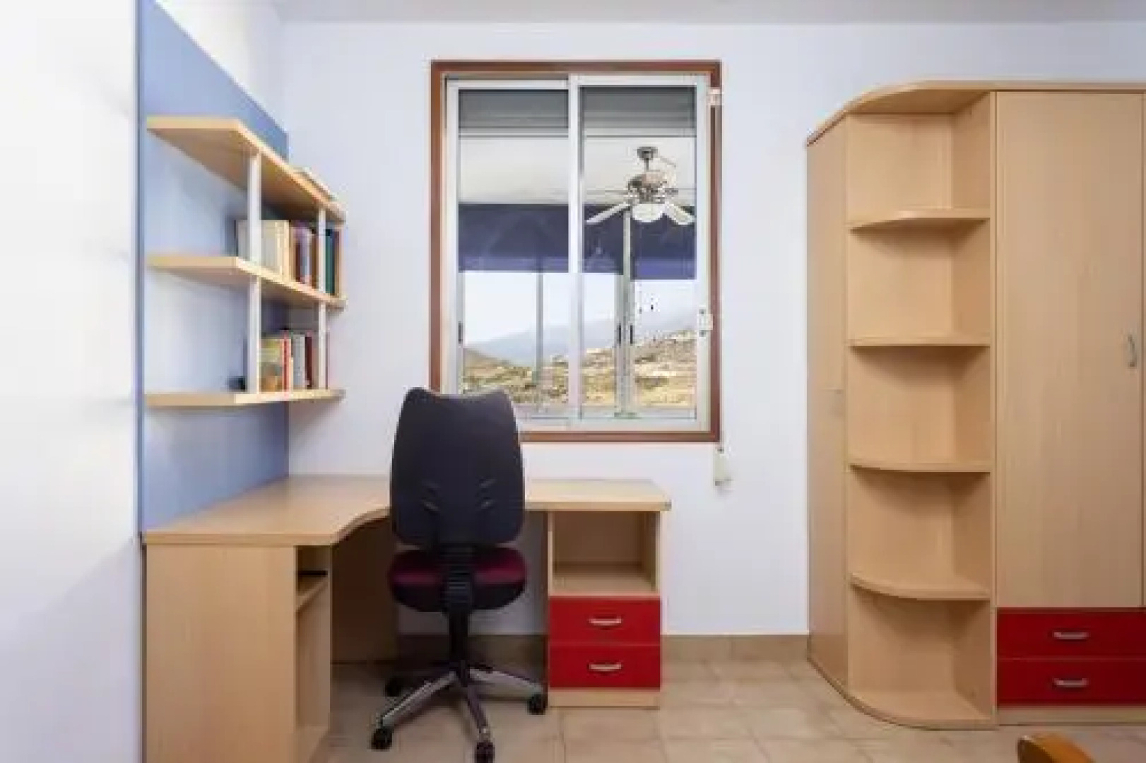 Live Tabaiba Decre 2