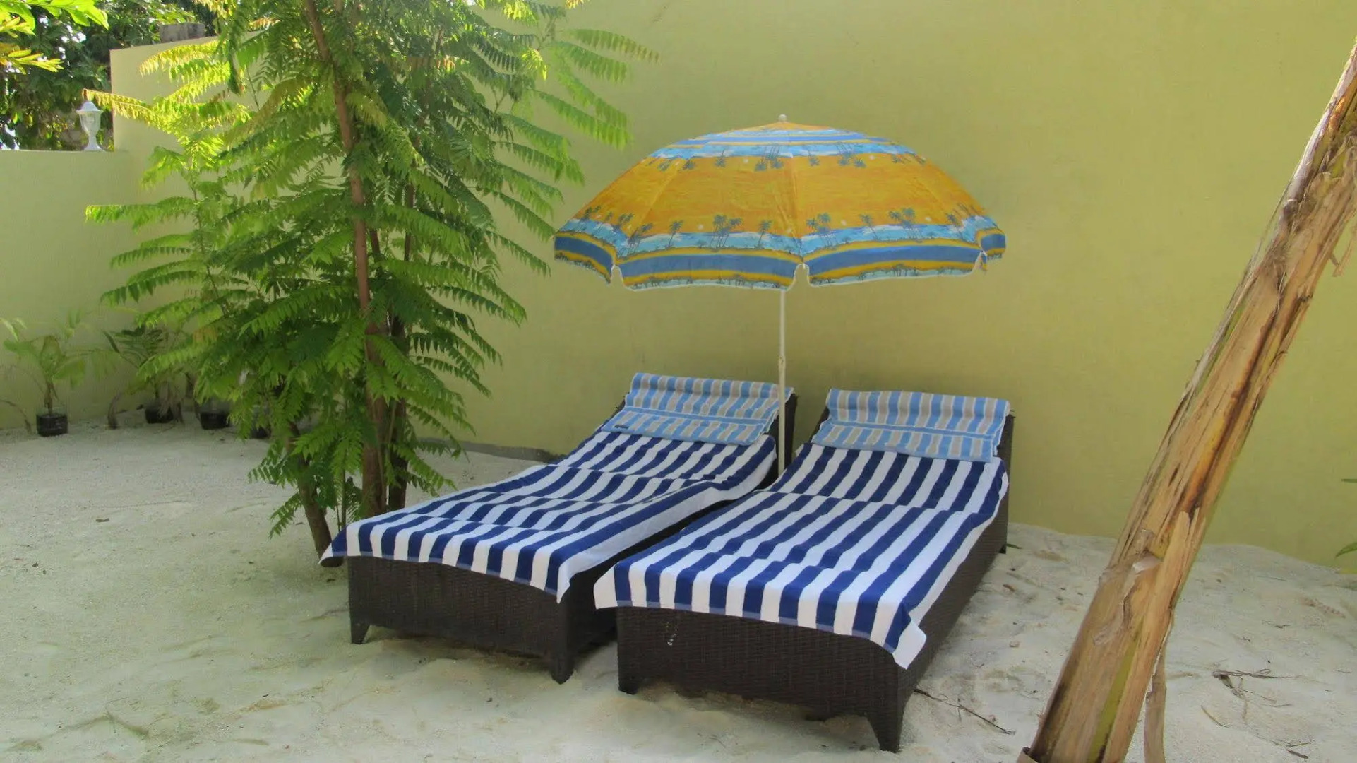 Whale Shark Inn Maldives