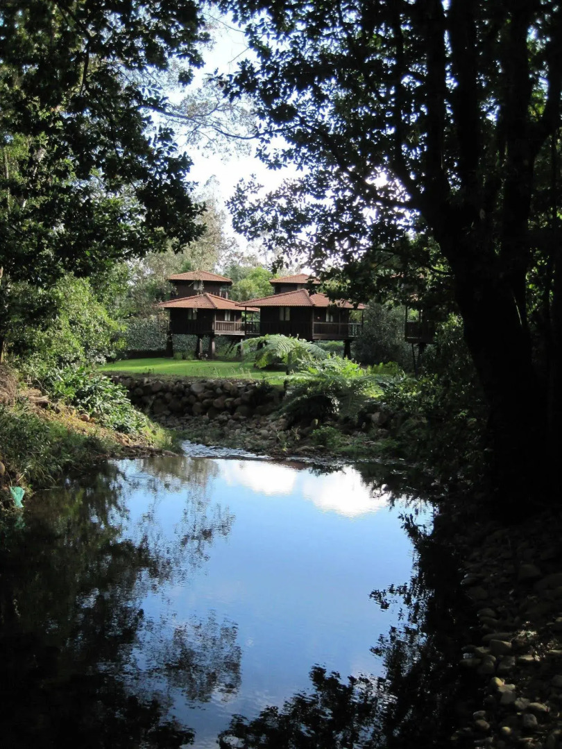 Quinta Das Eiras
