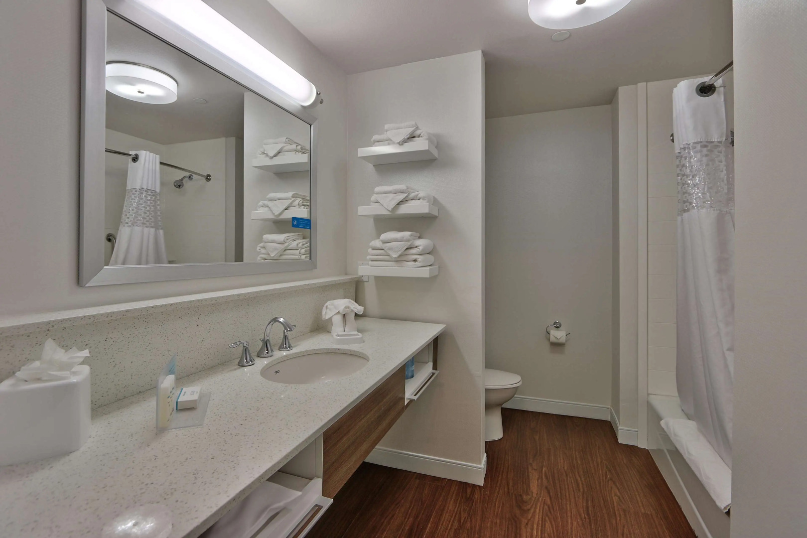 Hampton Inn and Suites Las Cruces I 10