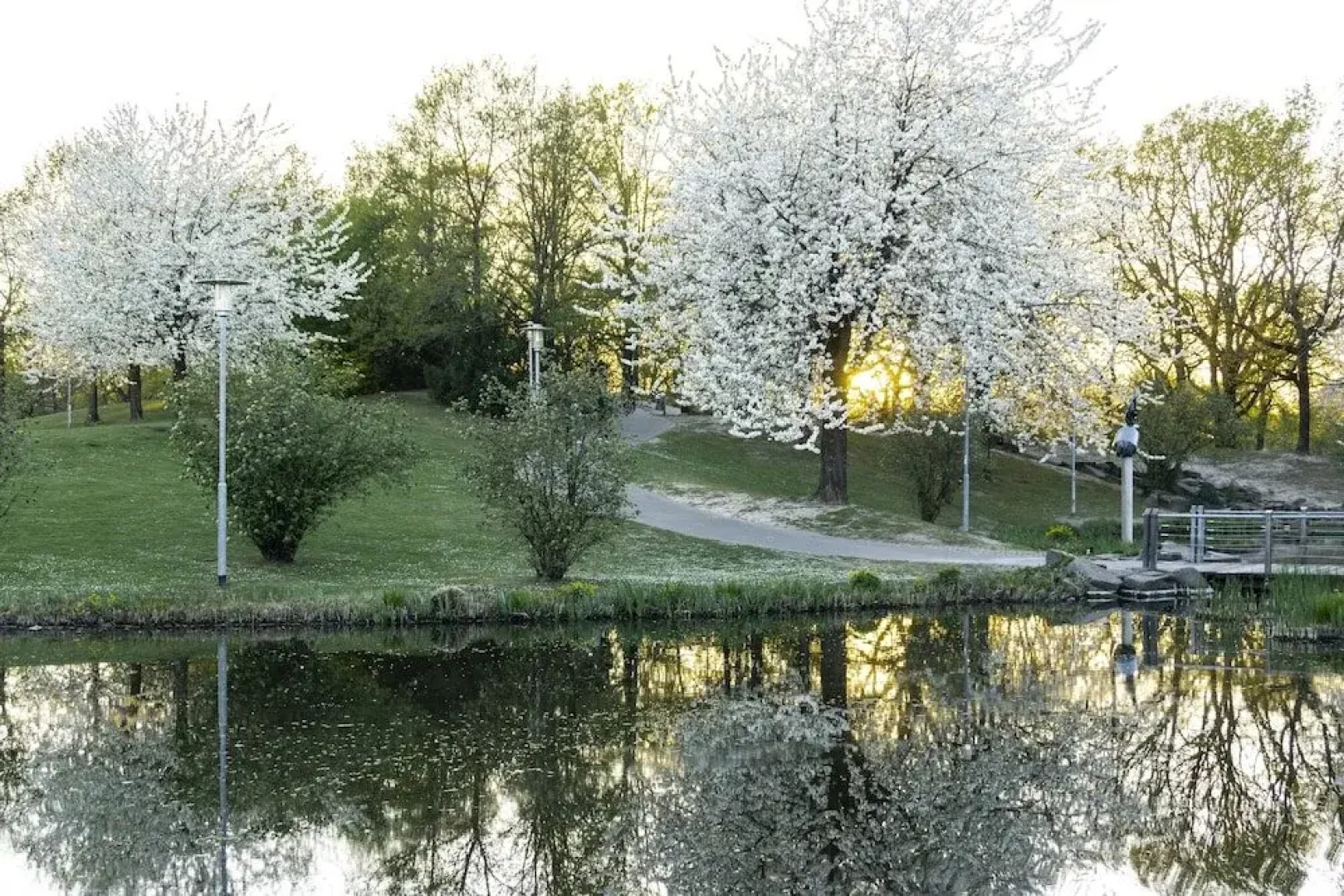 Boardinghouse Living 28