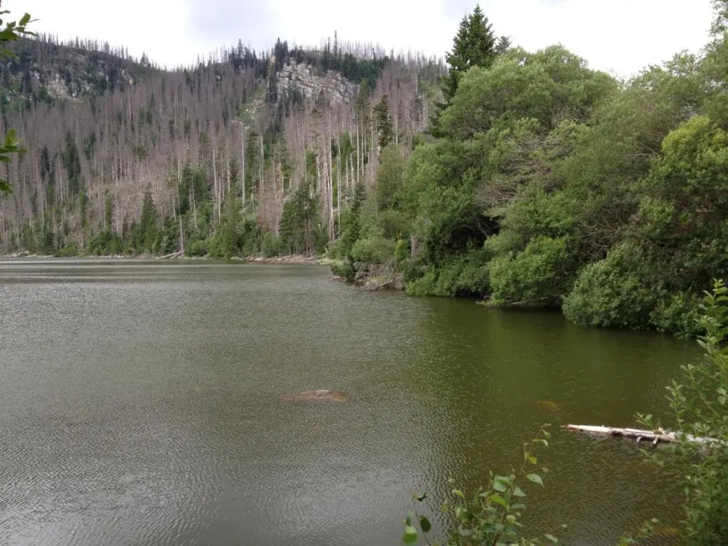 Apartmán Černá v Pošumaví