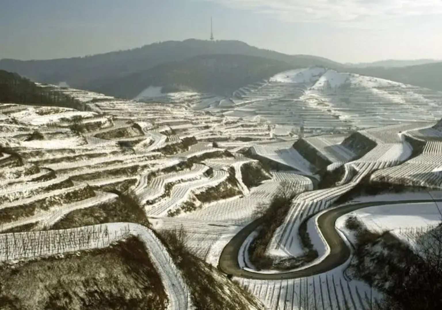 Savoir Vivre Modern Retreat