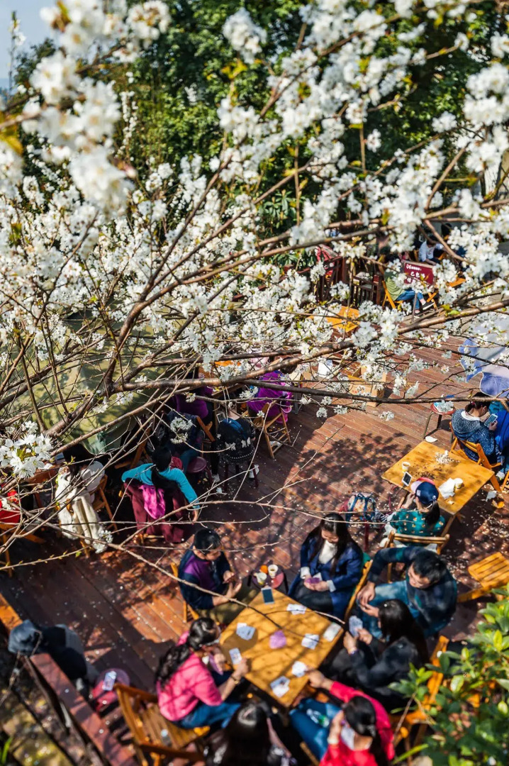 Four Points By Sheraton Chengdu, Pujiang Resort