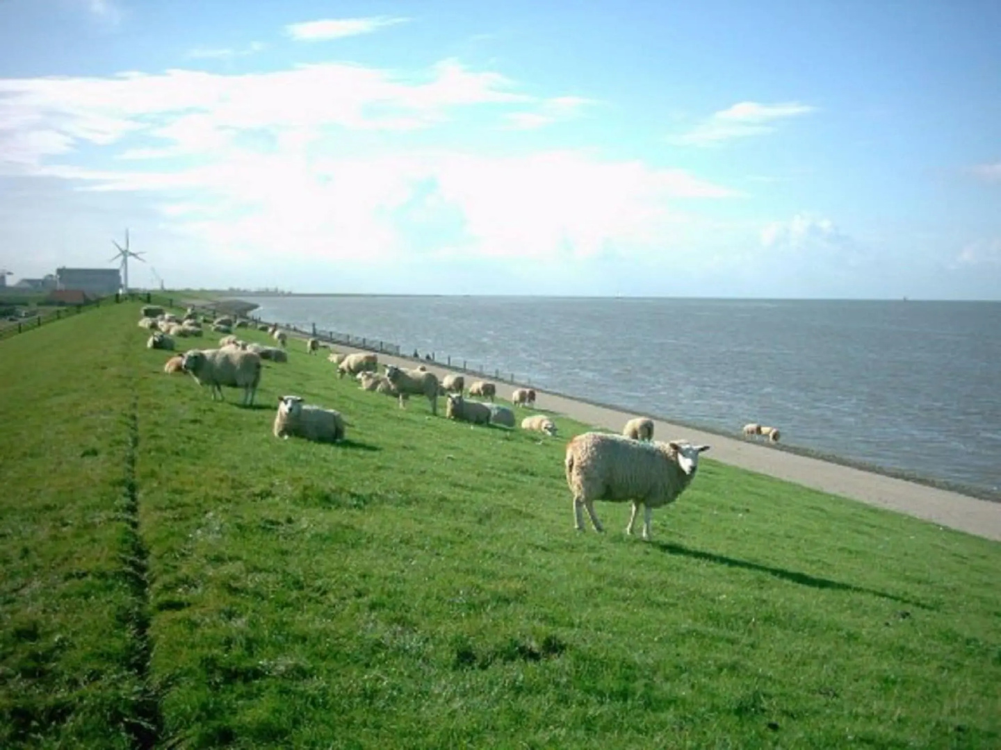 Atmospheric Chalet Near the Wadden Sea