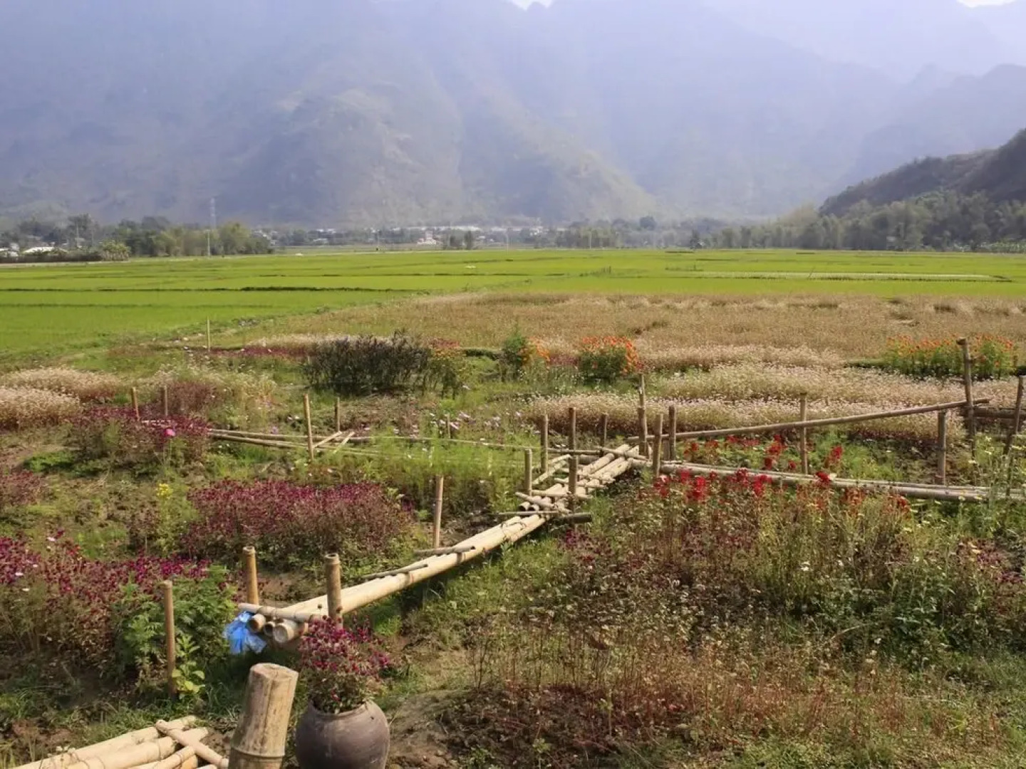 Ume Mai Chau Eco Homestay