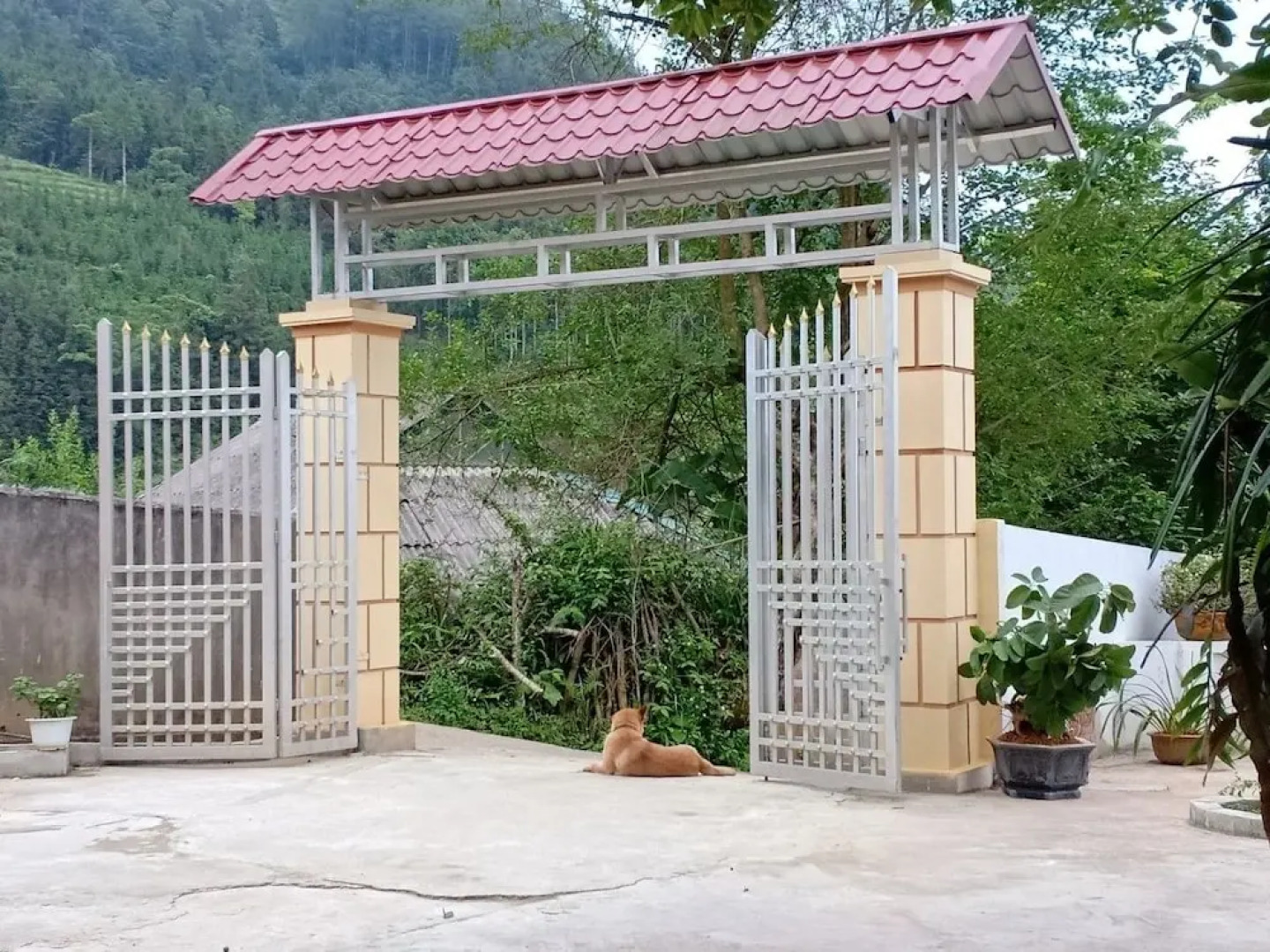 Yen Nhu Guesthouse - Hostel