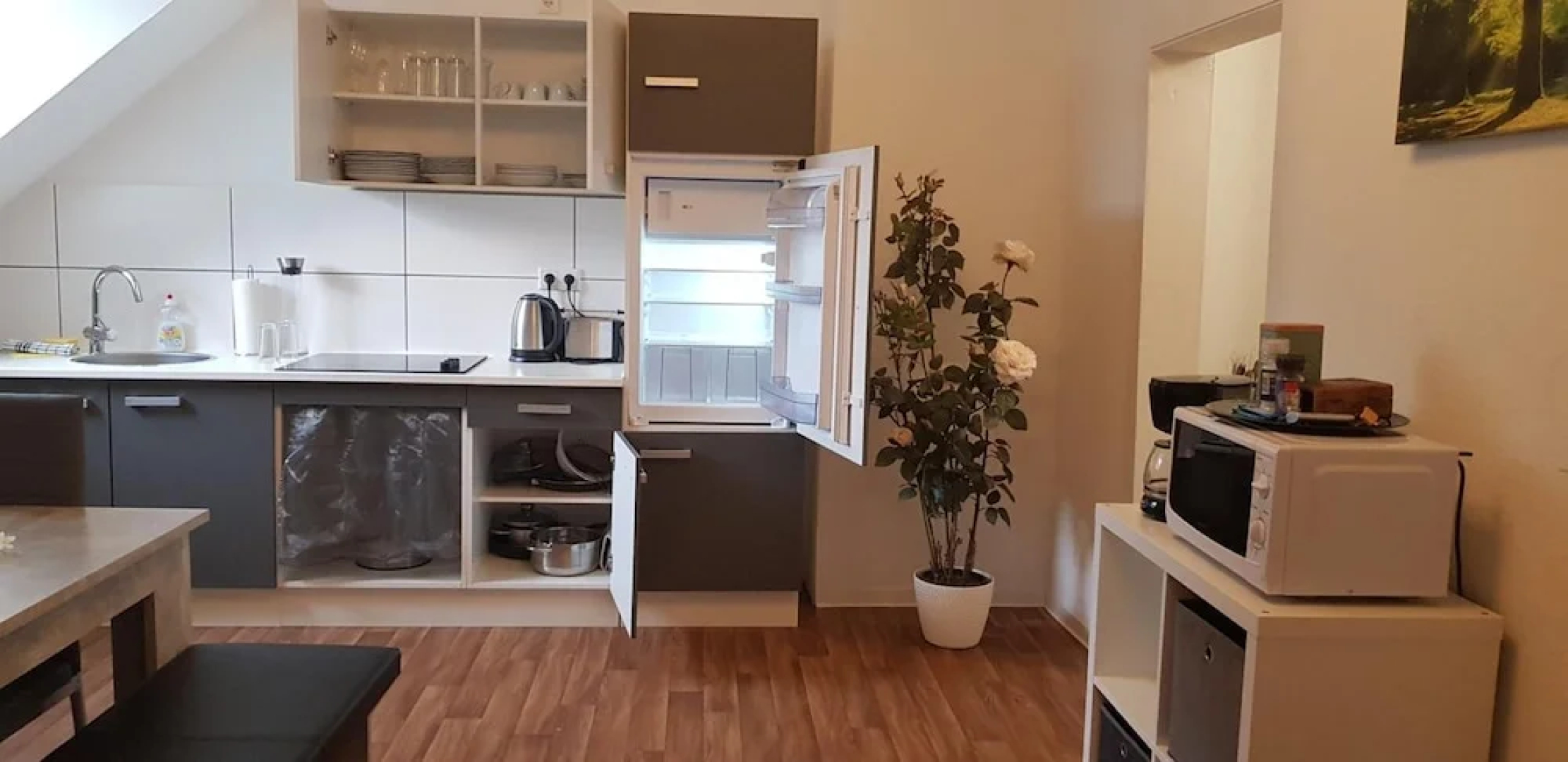 SP Hotels- Apartment an der Wiesenstraße