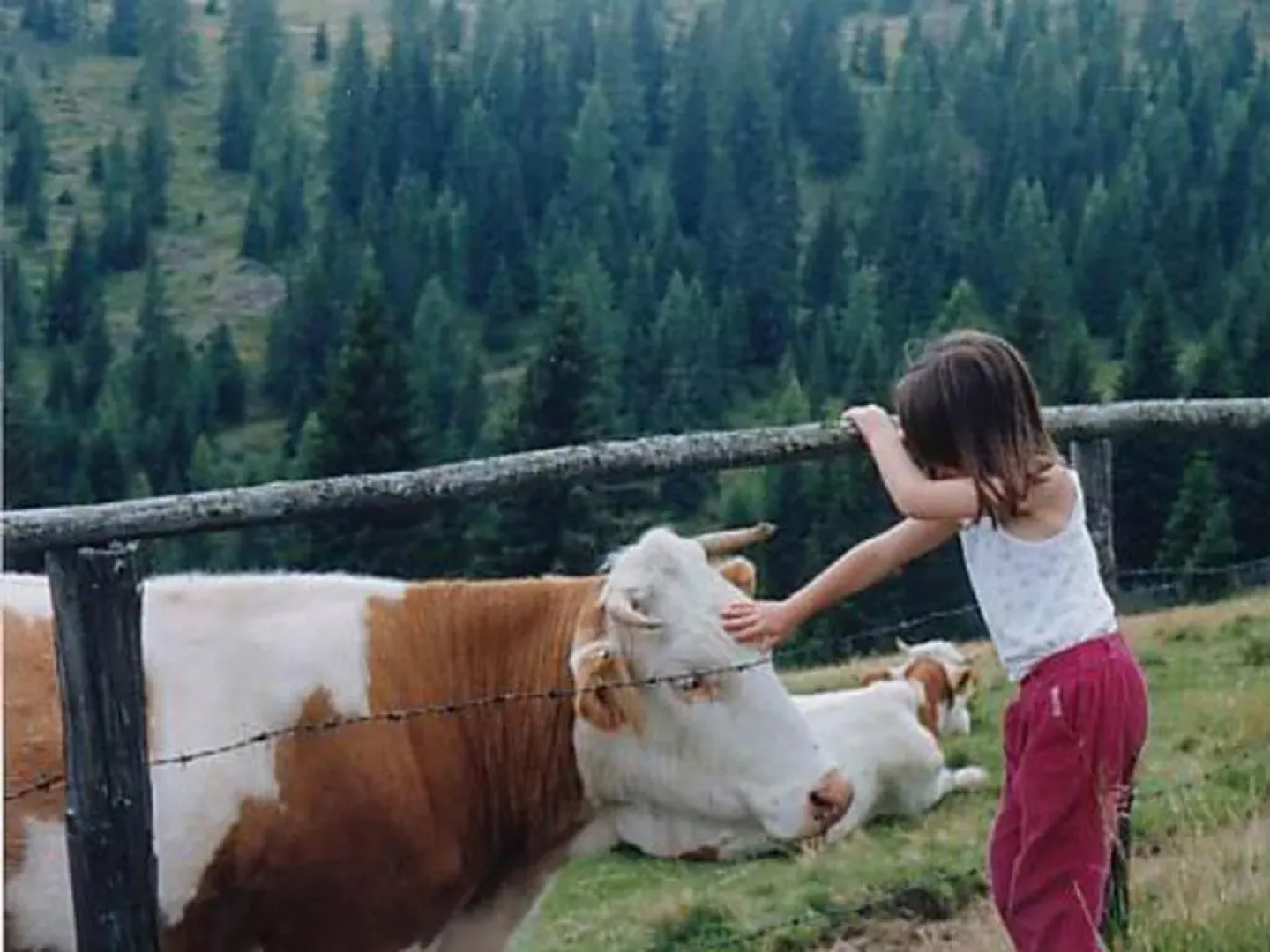 Pension & Ferienwohnung Sonnleiten