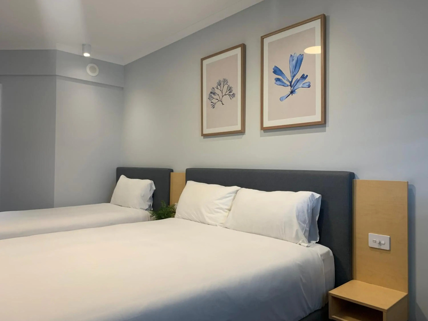 The Palmer Collective