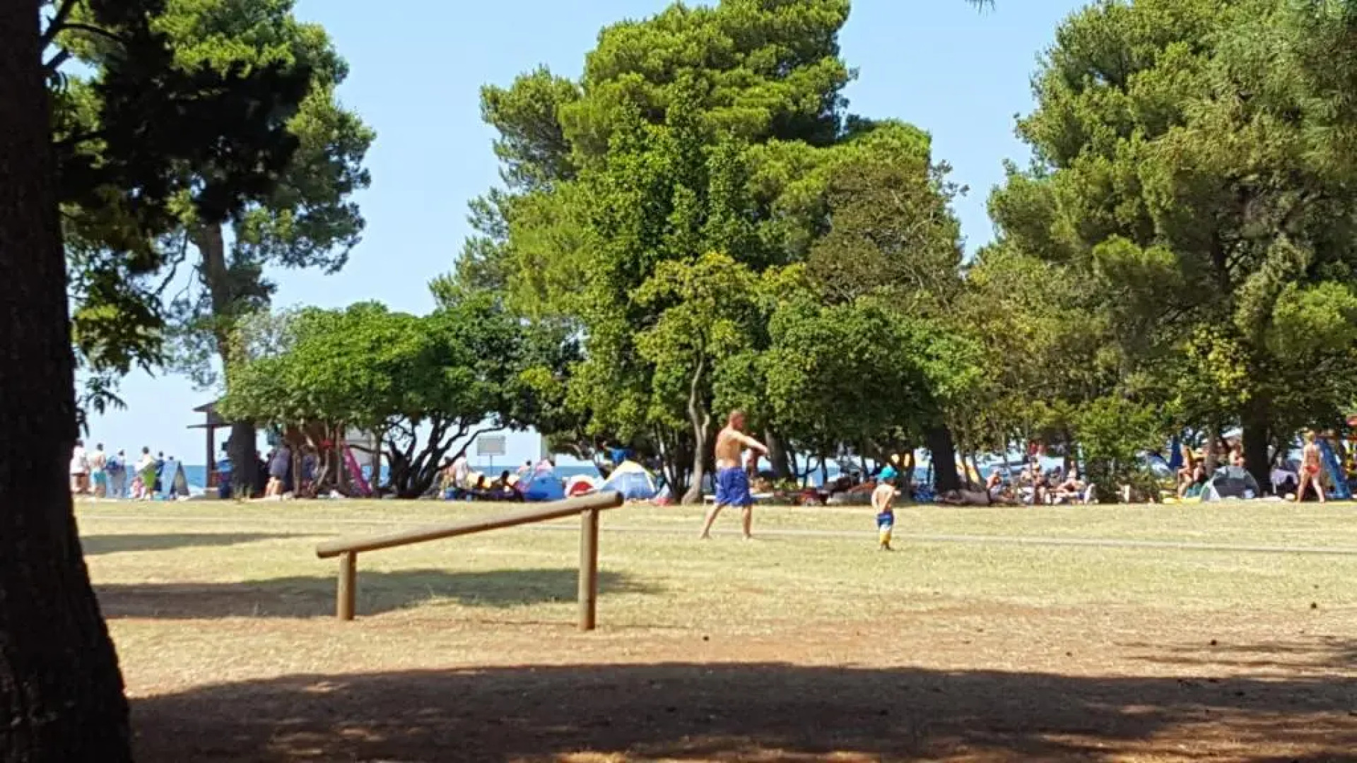 Apartments Punta by Sea