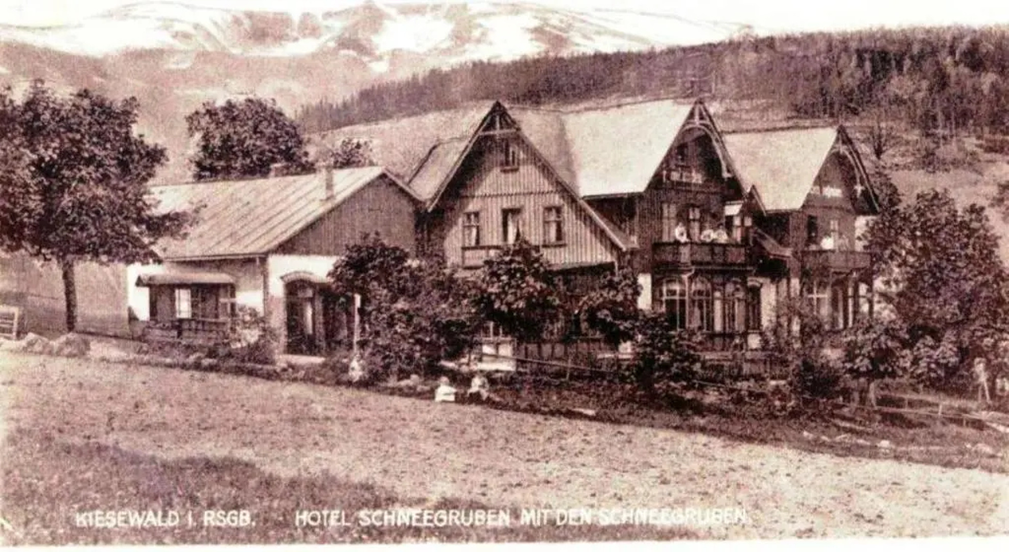 Willa Chatka Puchatka