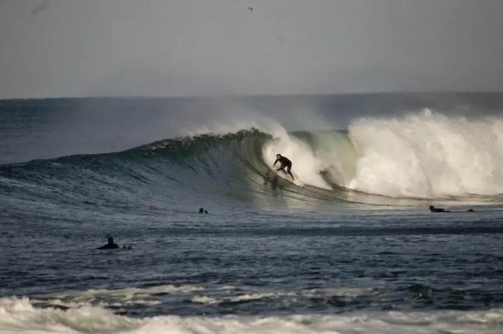 Nesha Surf Flat