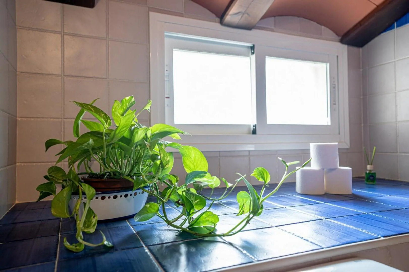 CT 119 CO - Los Jardines del Lago - CT 119 CO - Los Jardines del Lago