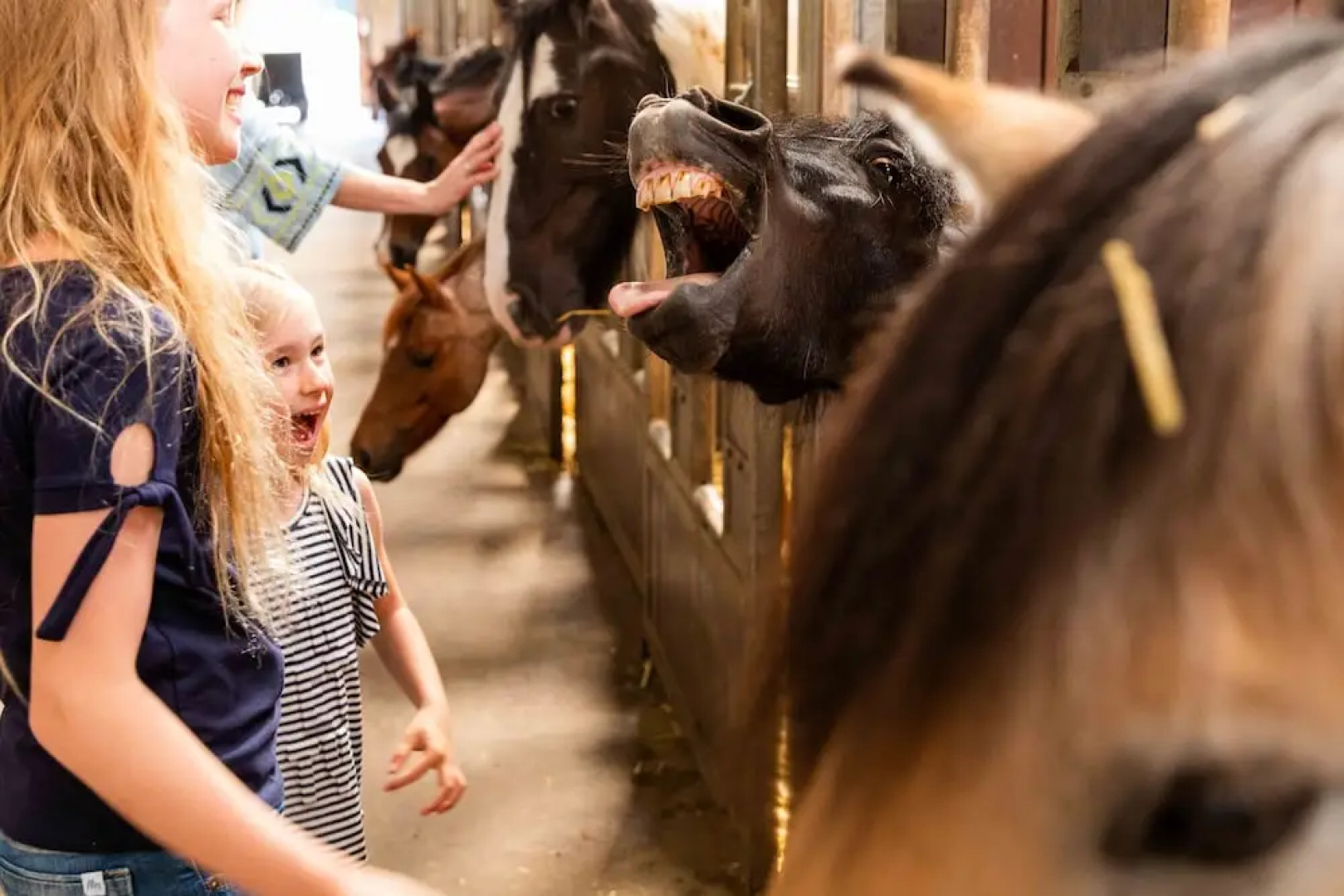 TopParken Parc de IJsselhoeve