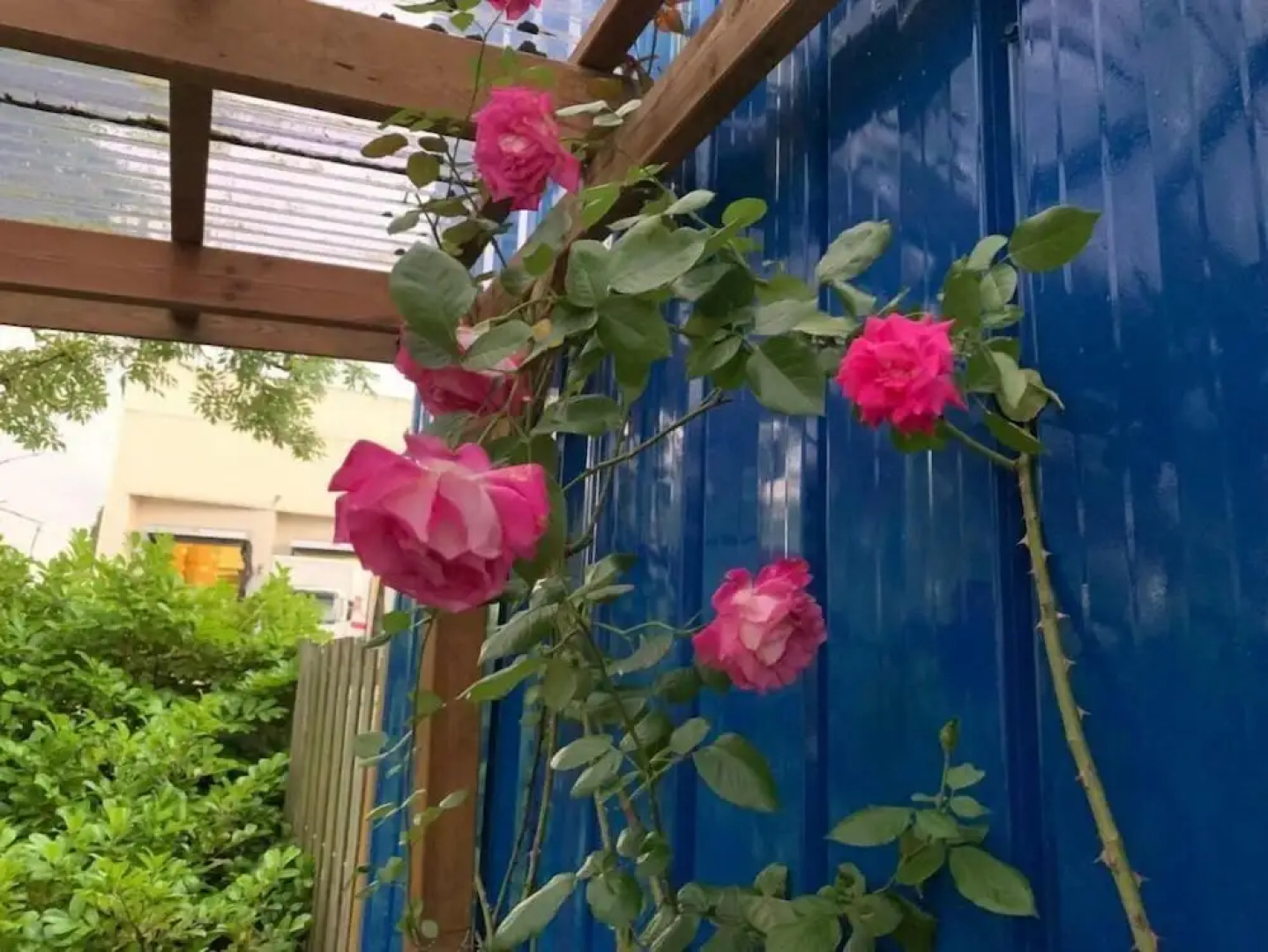 Fischers Pension Ahrensburg