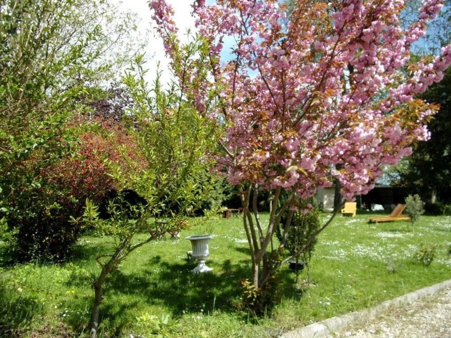 Top Meublés Locations