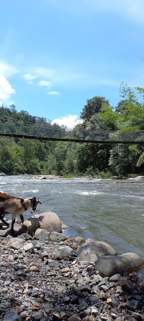 Skale peregrino ecolodge
