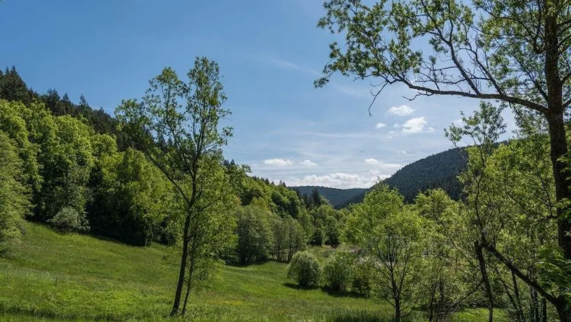Luxus Ferienhaus Schwarzwald Dieboldsberg
