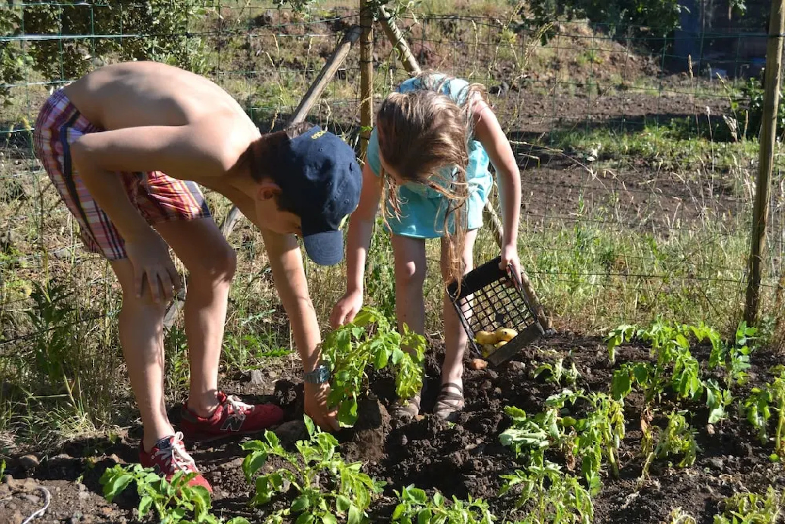 Clos des Coustoulins