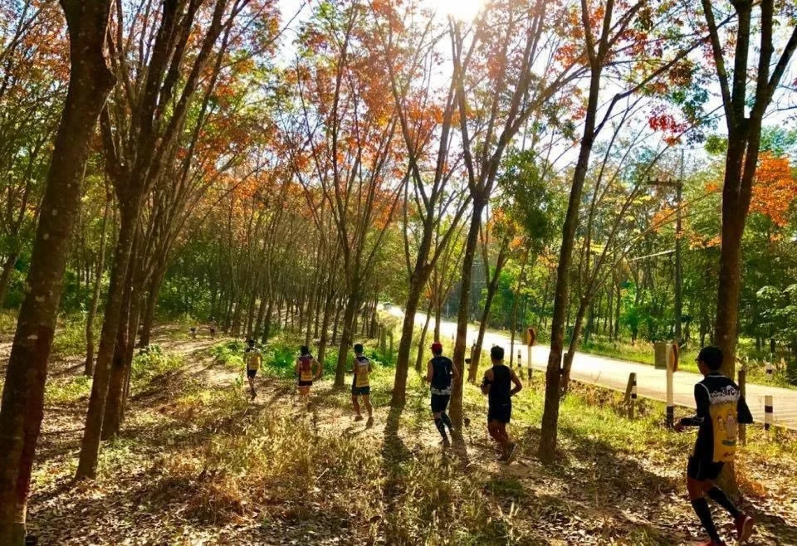 The Park Adventure Land Resort