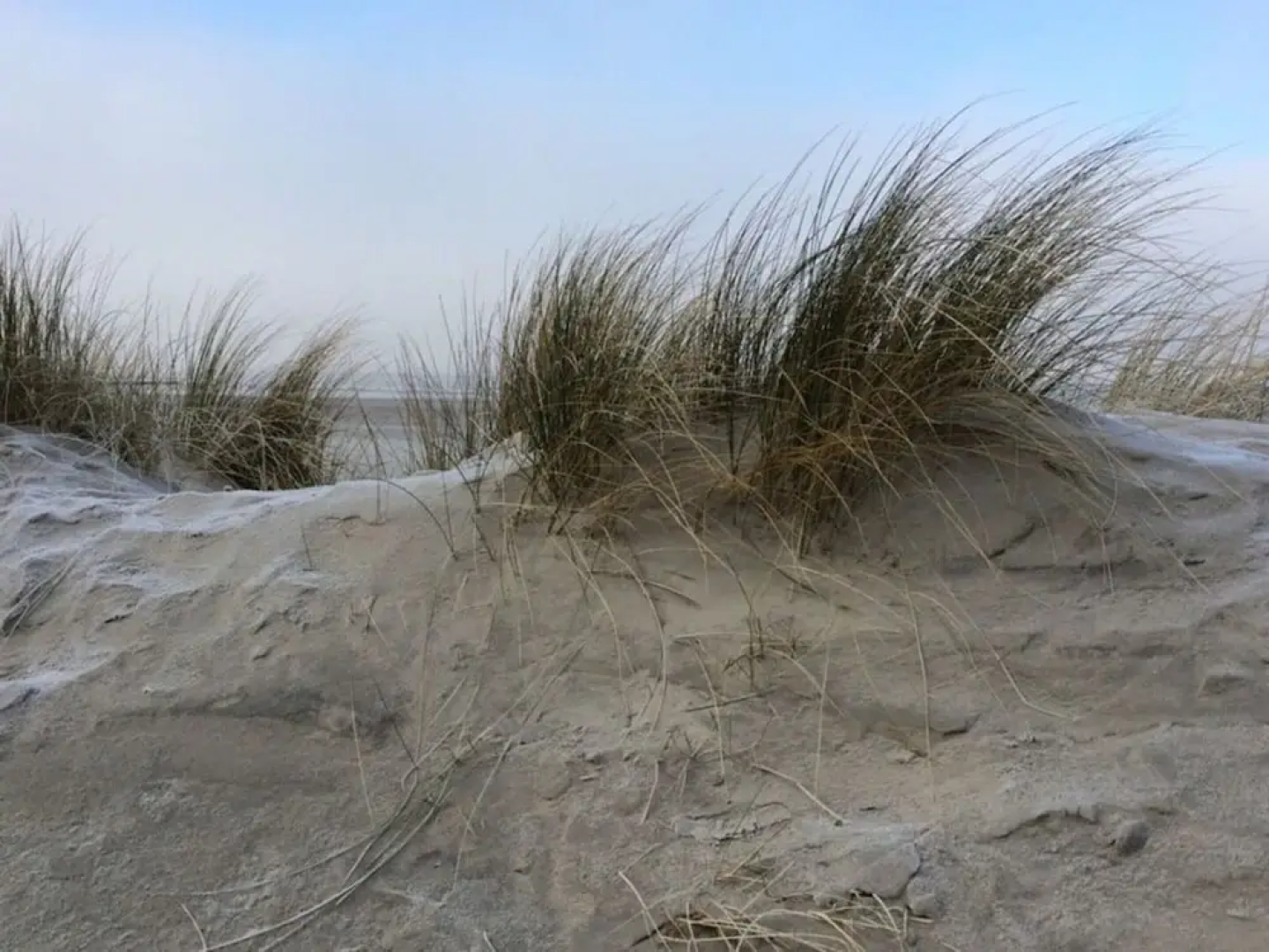 Lively Apartment in Norderney