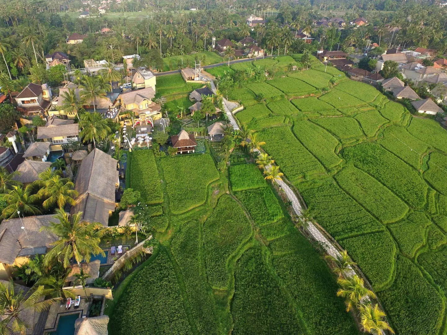 Курортный отель Wapa di Ume Ubud Resort & Spa