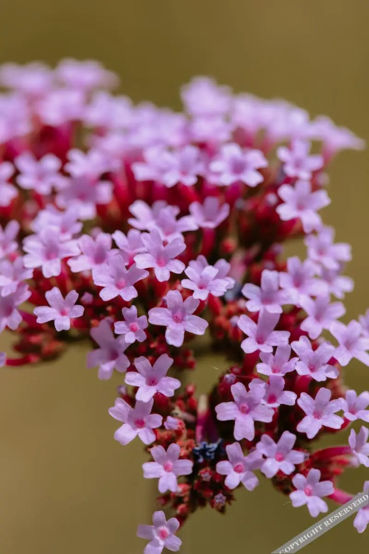 Your Nature Eco Resort