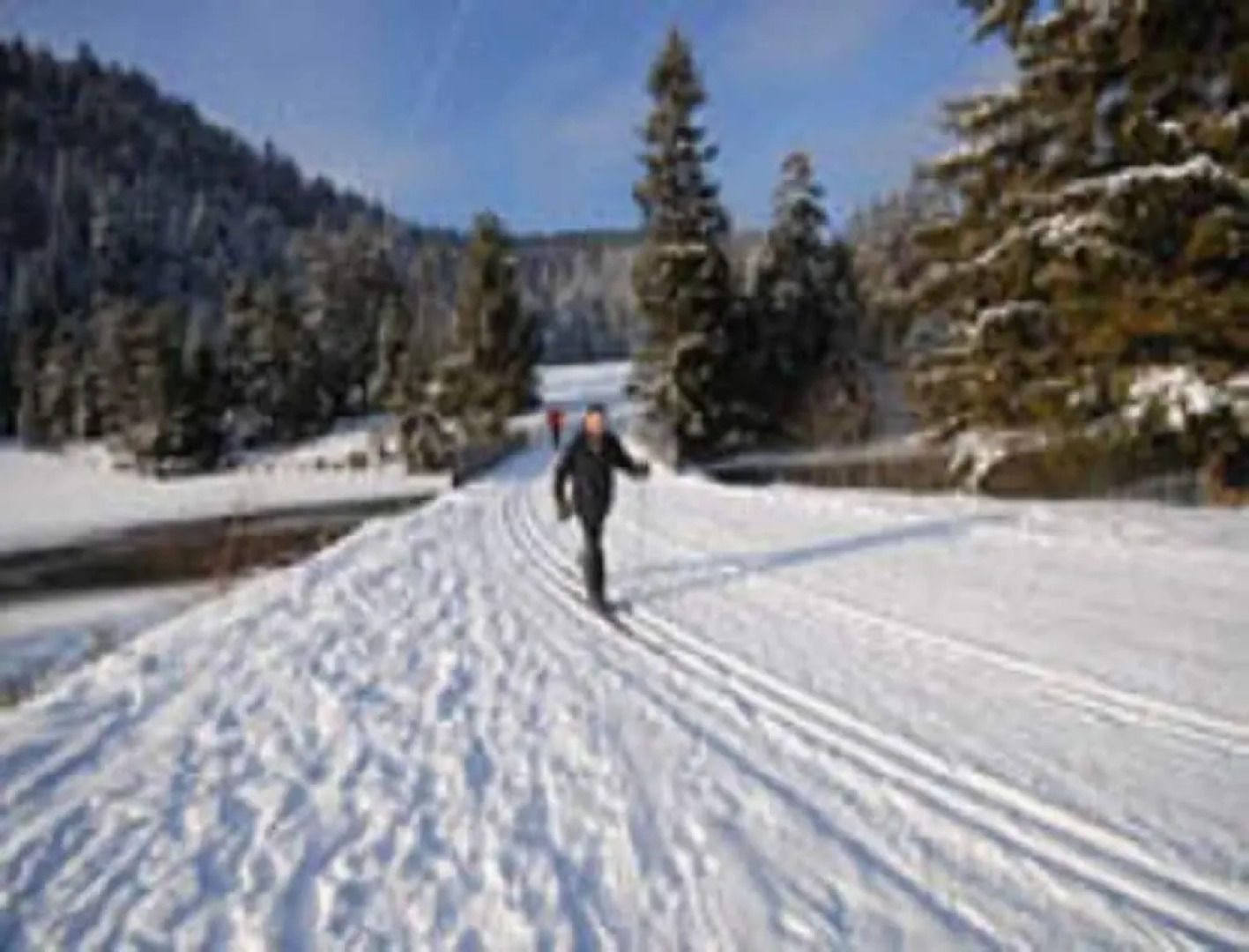 Chalet résidence la Combeaute