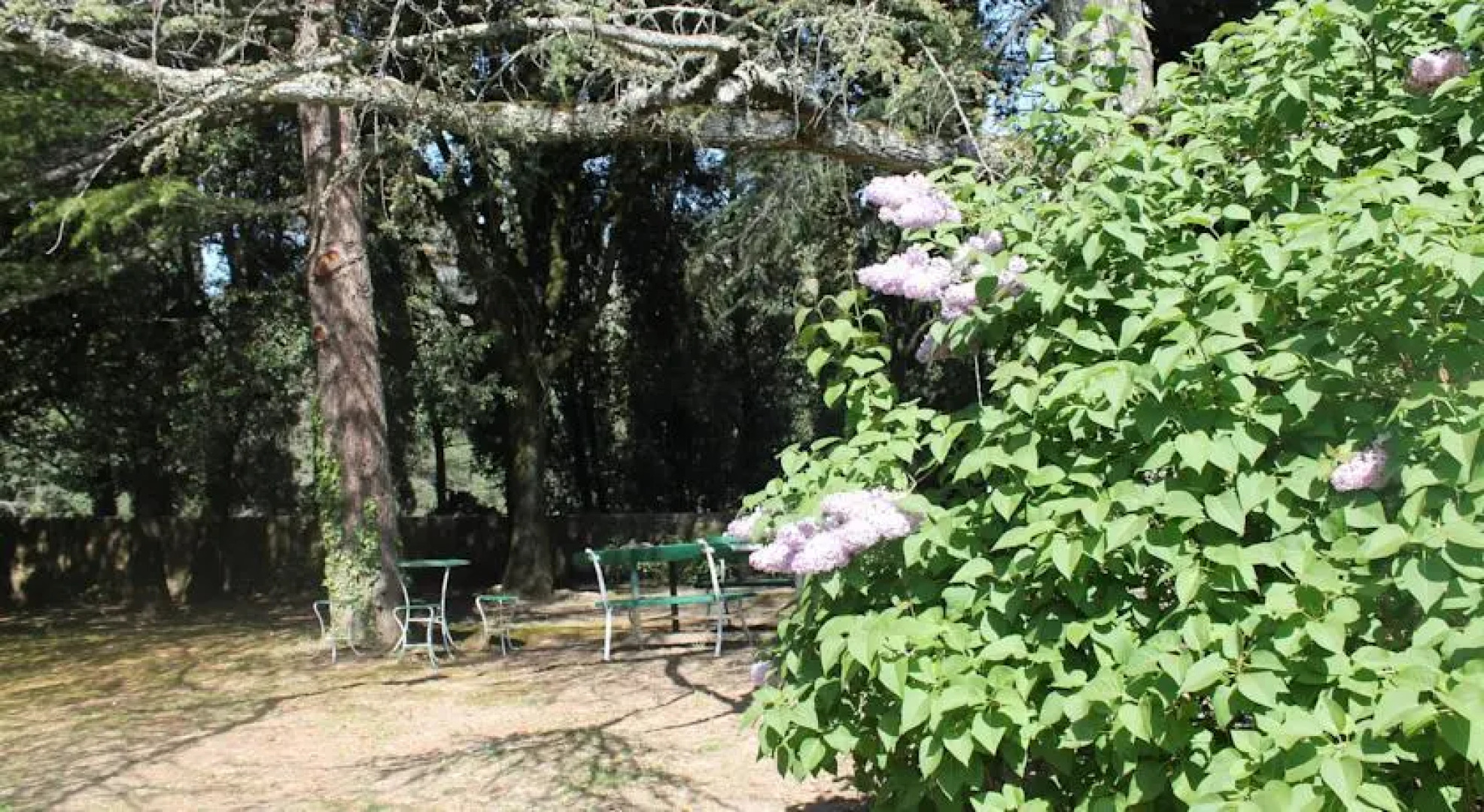 Castello Di Camporsevoli