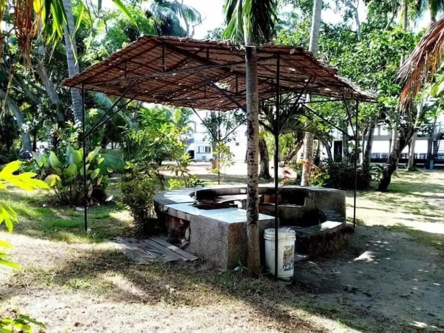 The Pelicans Castaway