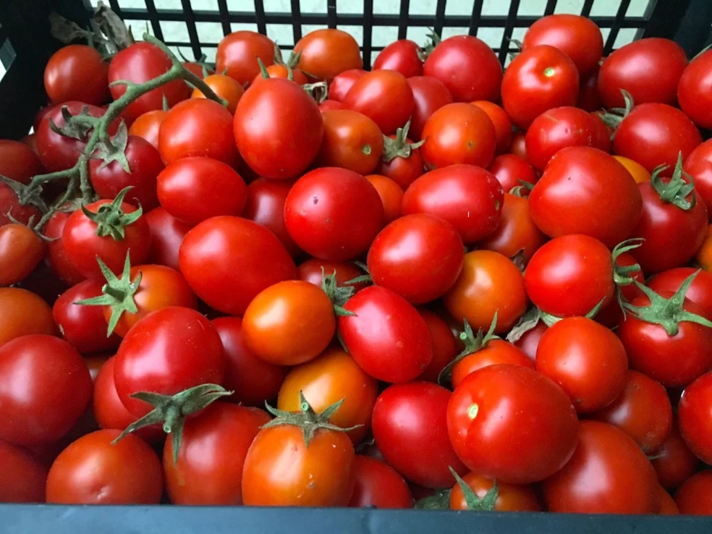 Grikò Country Hotel