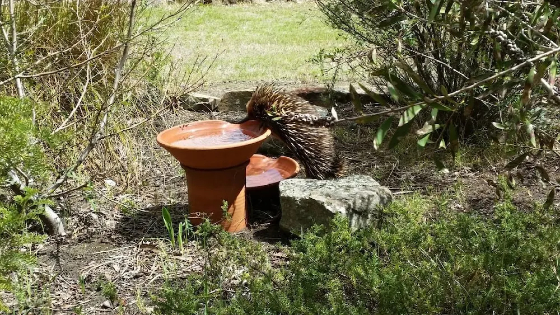 Wind Song Bed and Breakfast