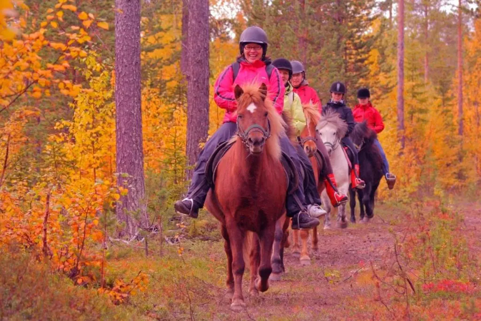 Break Sokos Hotel Levi