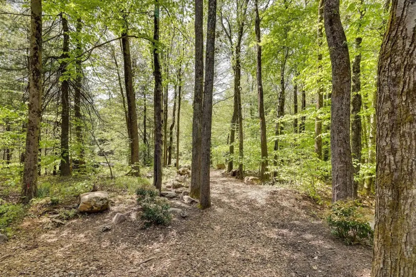 Scenic Pocono Pines Apartment w/ Fire Pit!