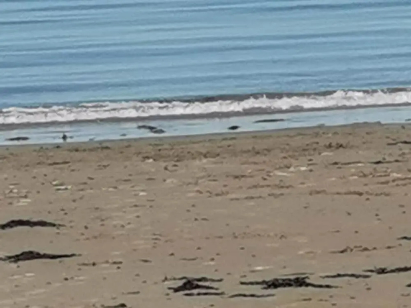 Sea and Mountain View Sunbeach Holiday Snowdonia