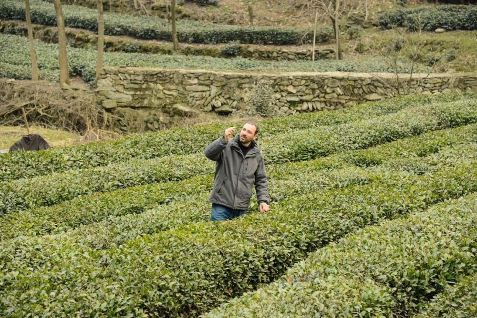 Immortals meeting point