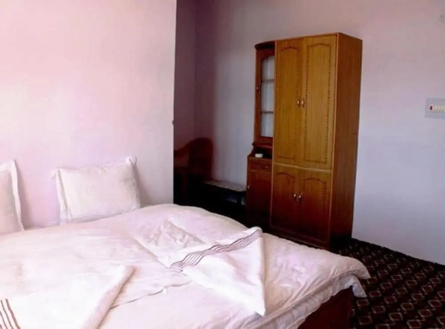 Tsomoriri Hotel Lake View