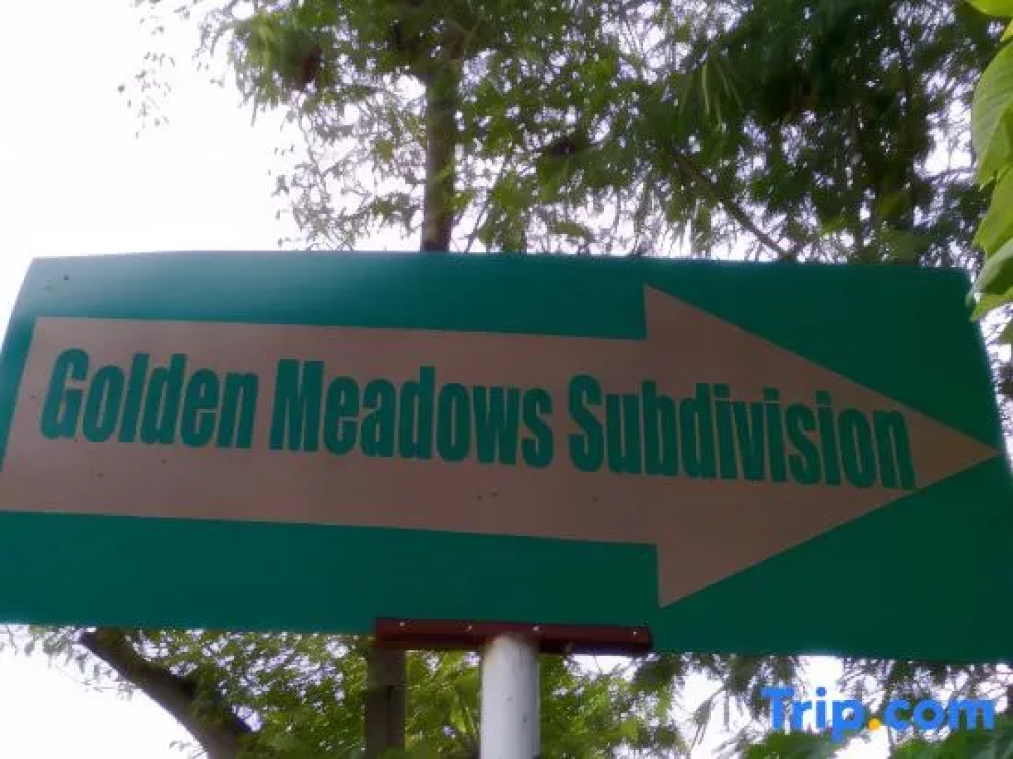 Sonrisa - Golden Meadows by Hiverooms