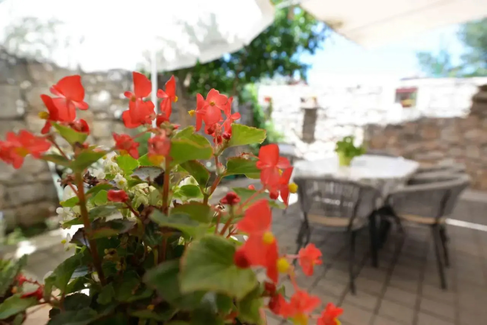 Apartment Stari Murter