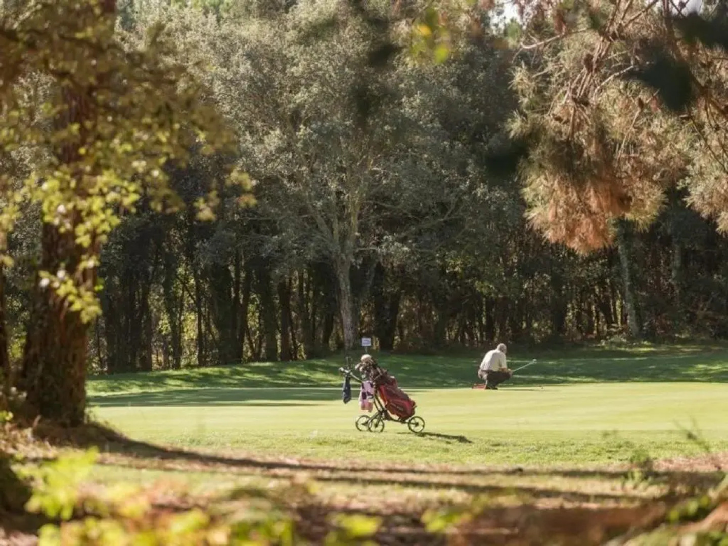 Appartement Soustons, 2 pièces, 6 personnes - FR-1-379-119