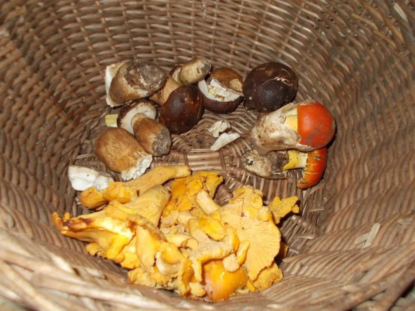 La Masseriola agriturismo