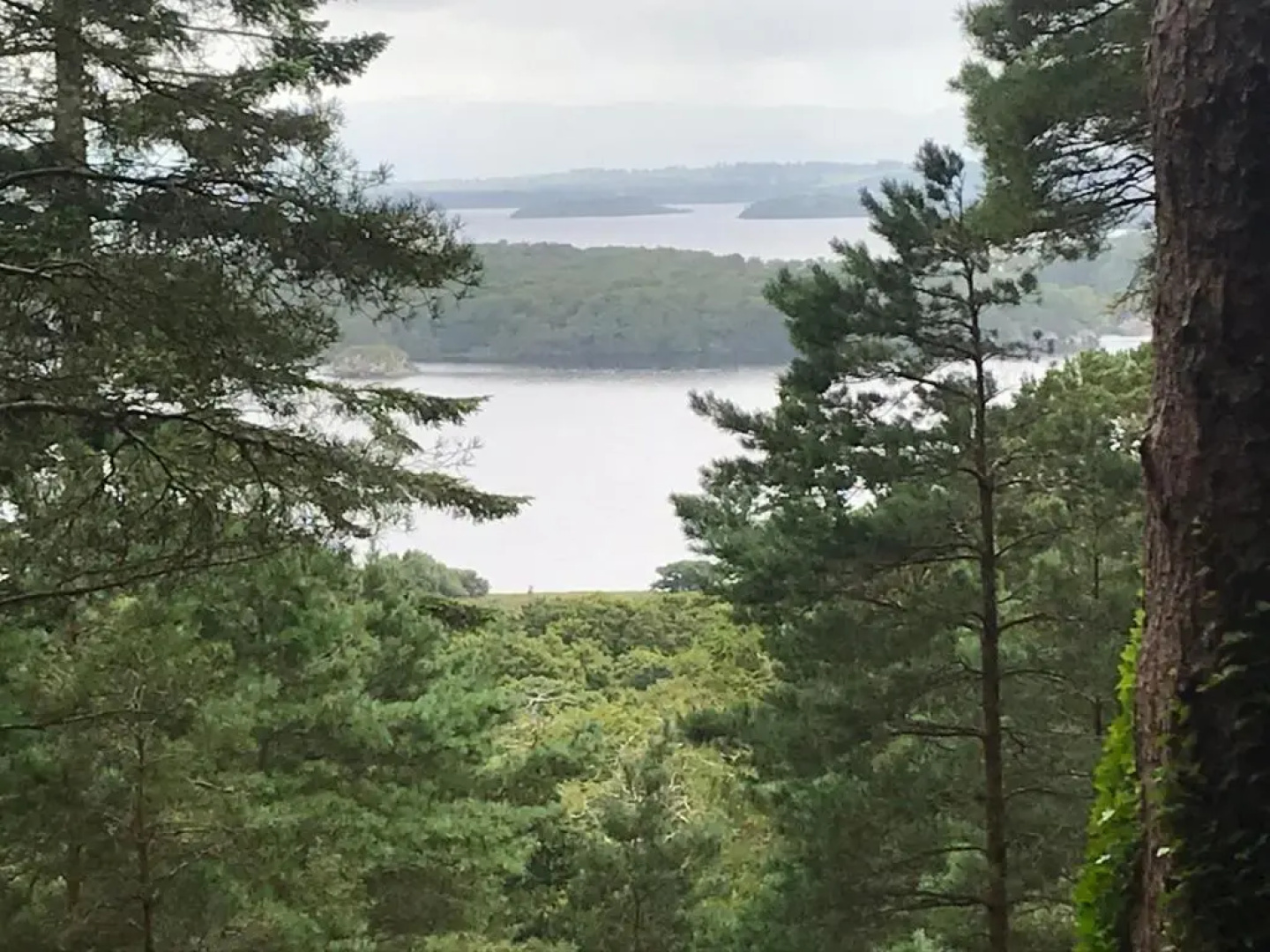 Tall Trees Seaside & Nature Retreat B&B