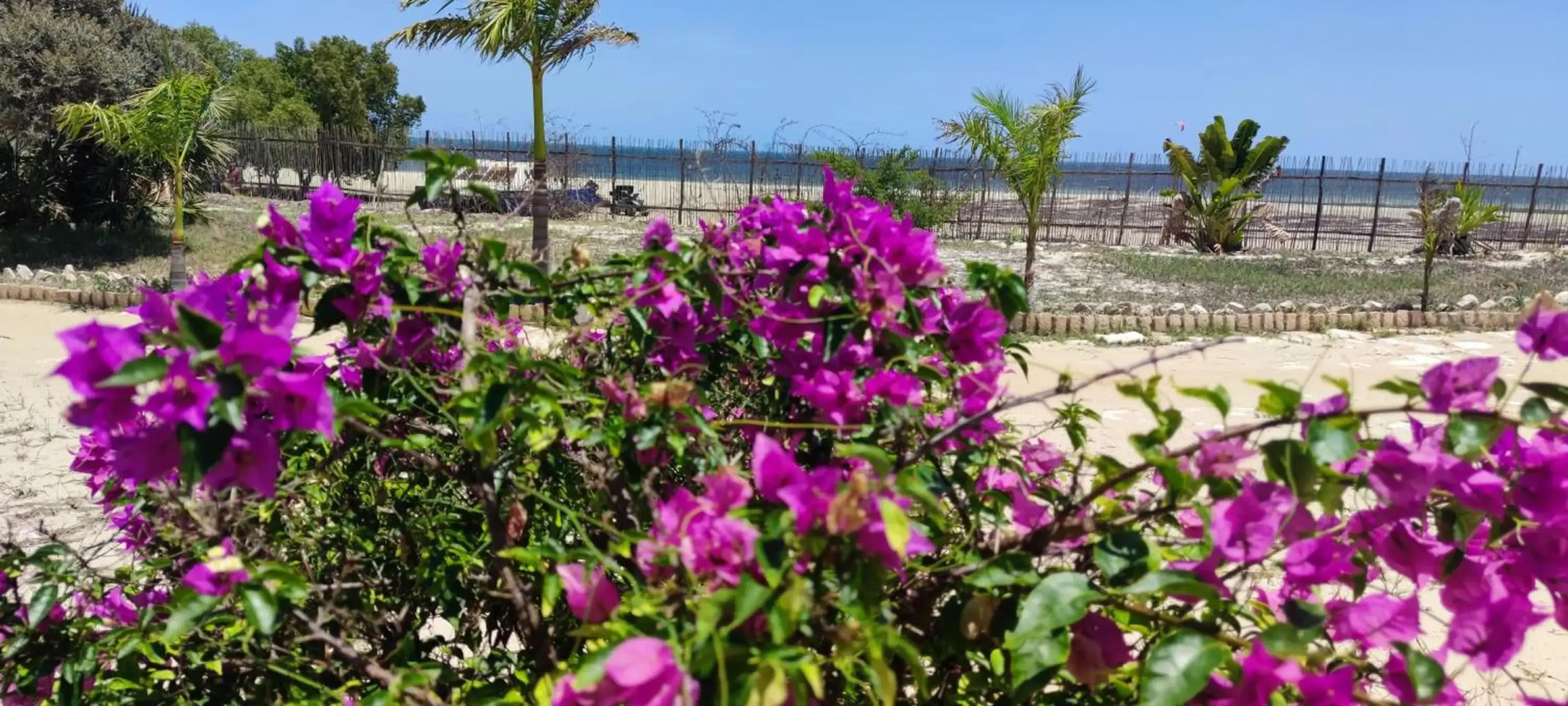 Villa Nature
