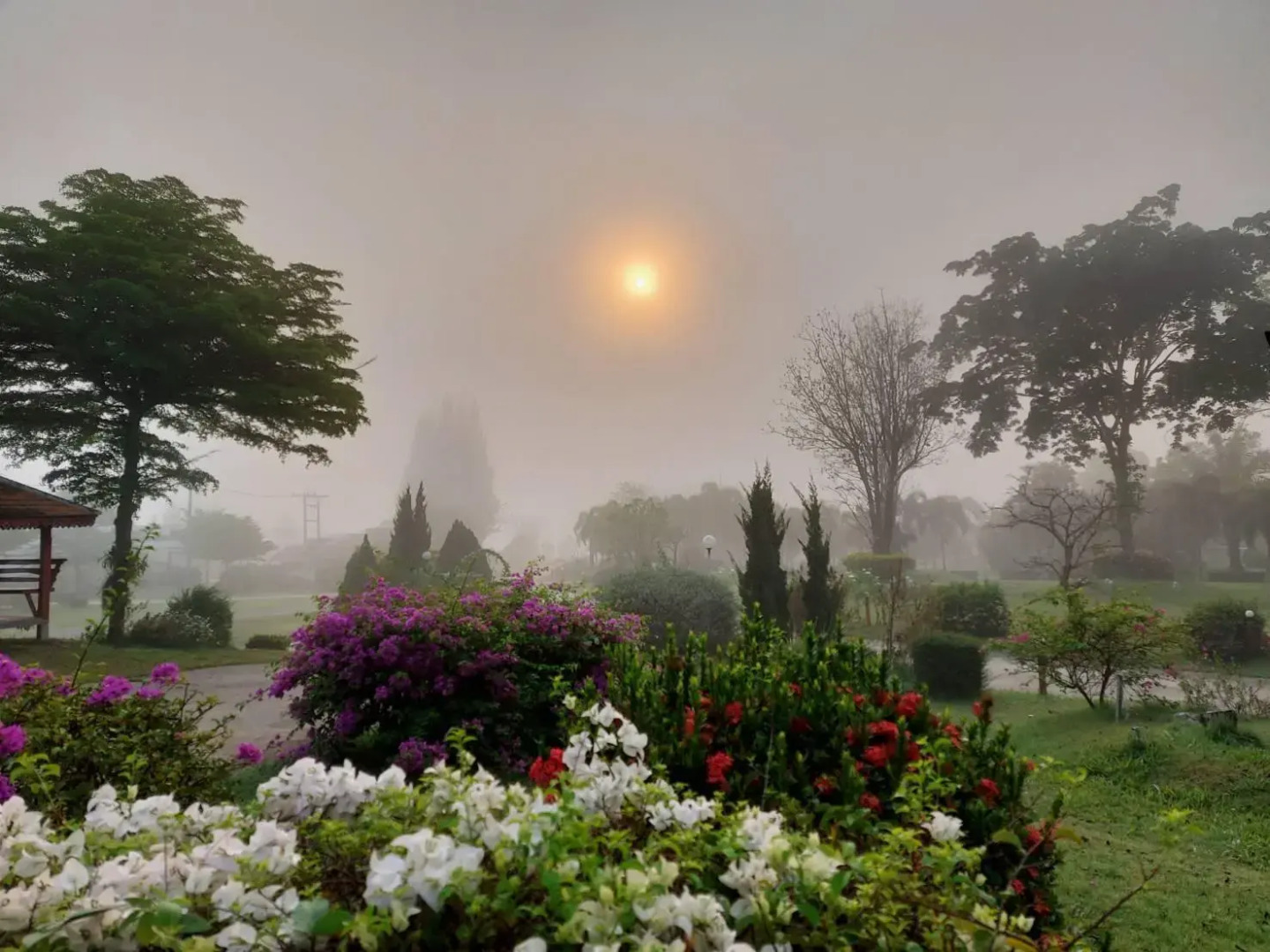 Tanaosri & Creekside Resort