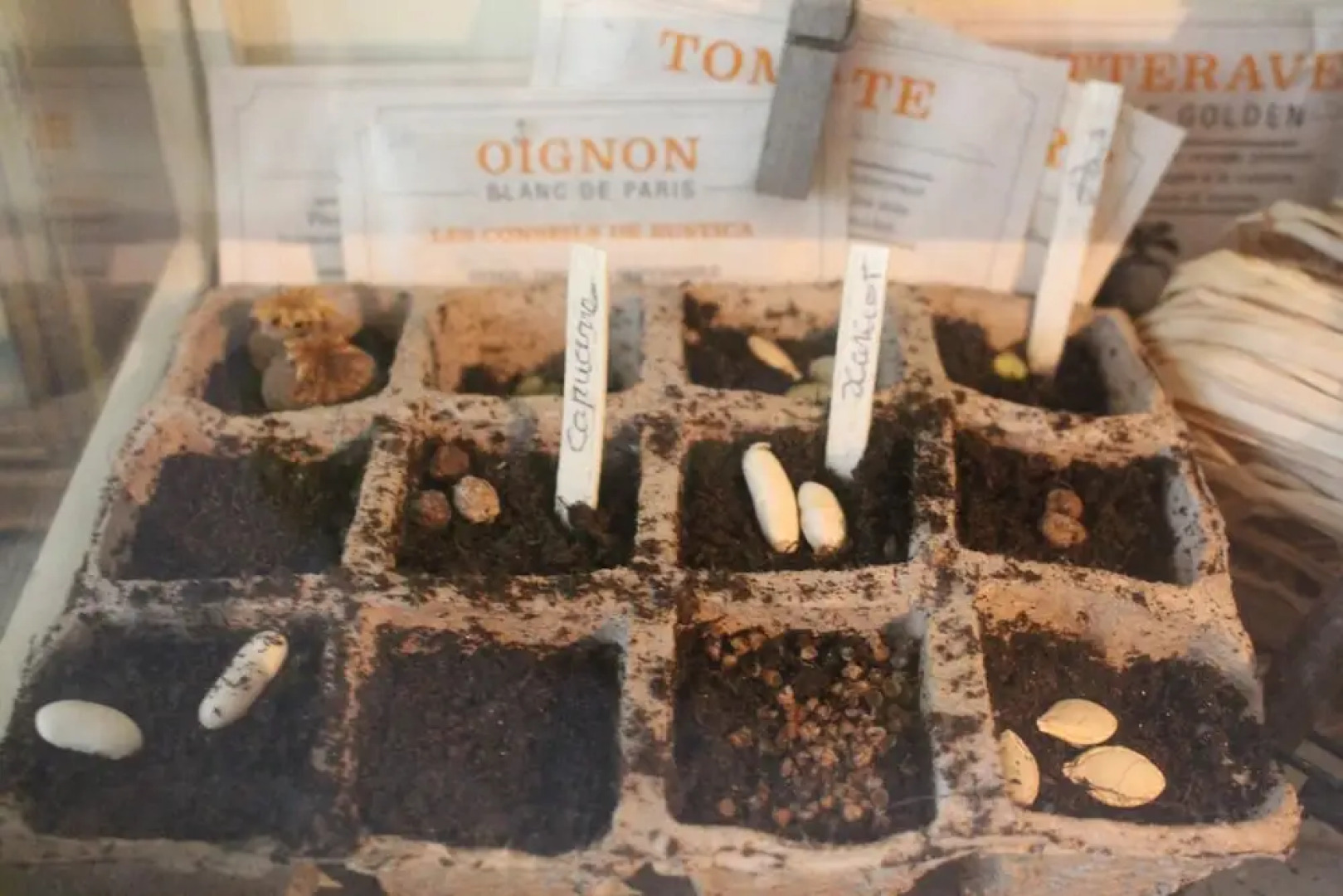 Dans le Jardin de Marie