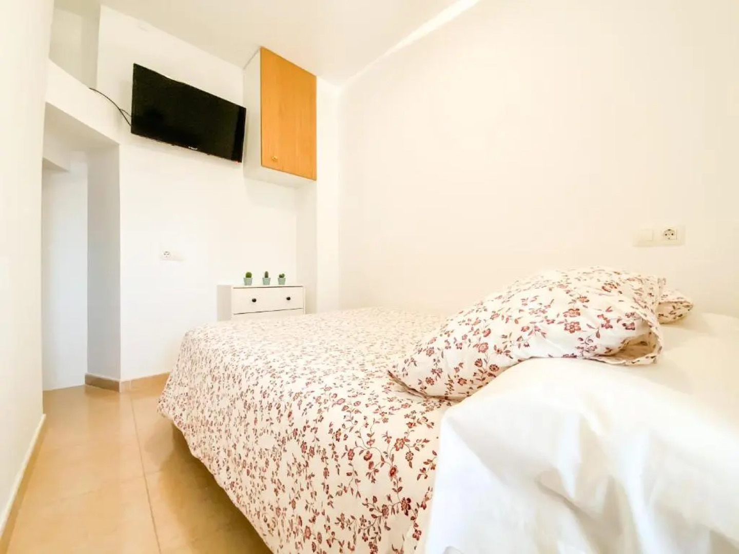 Apartamentos sapoconcho