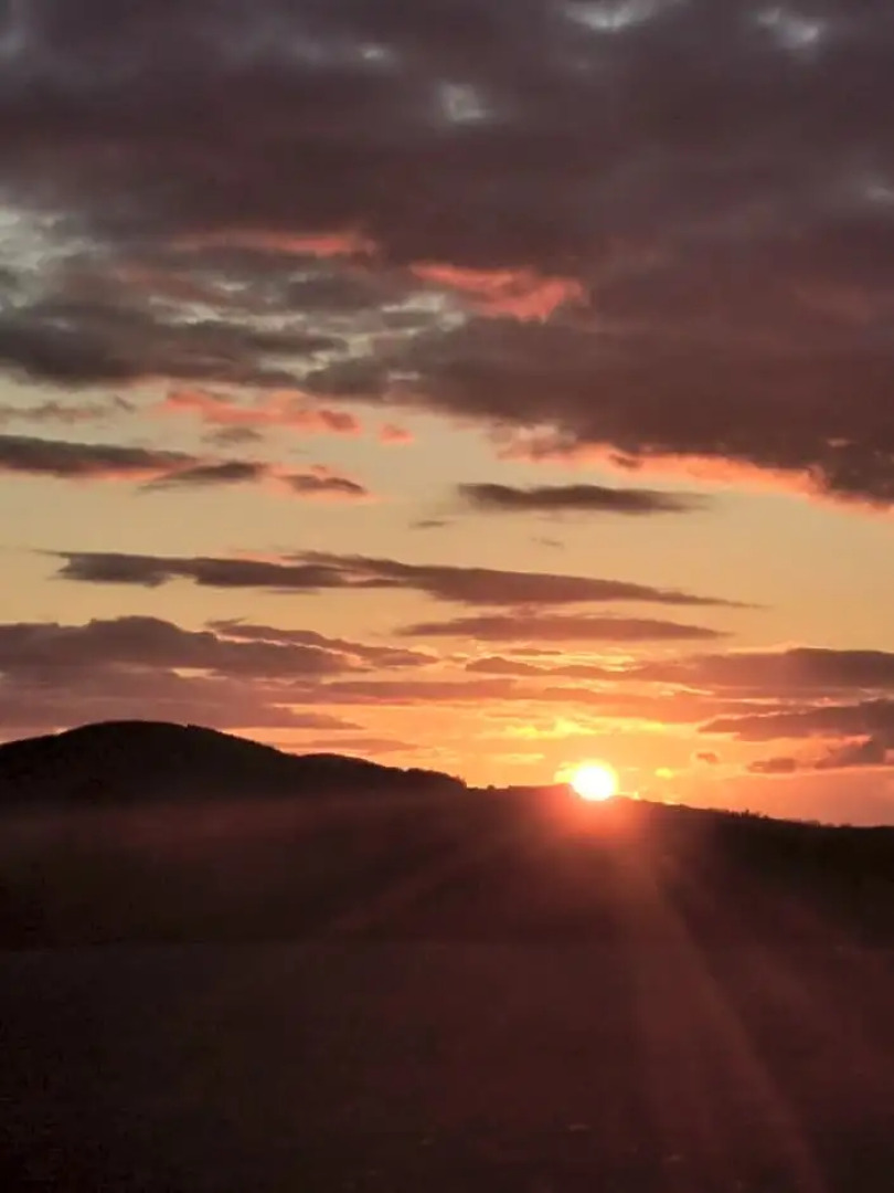 Hillhaven Bed &Breakfast