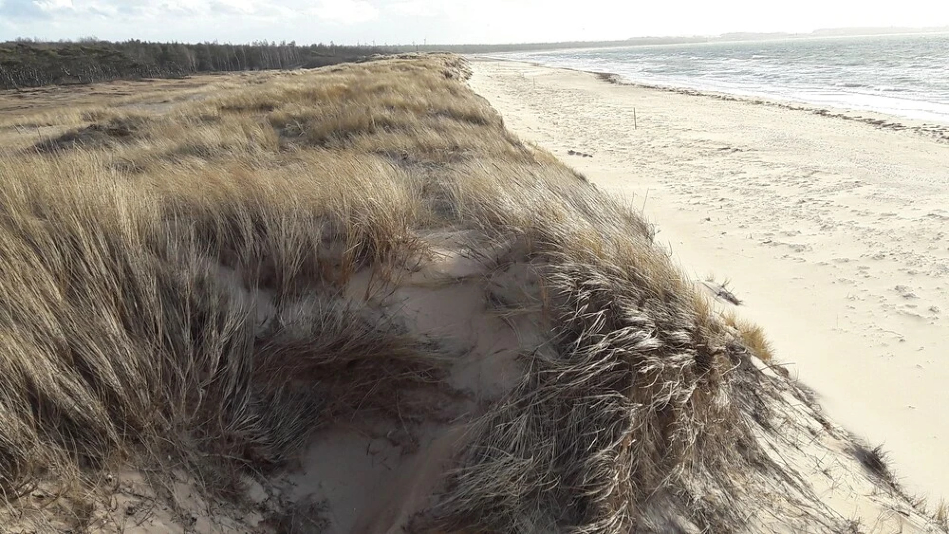 Hallandsåsen Hostel